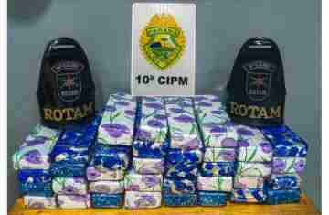 Laranjeiras – Polícia Militar apreende 23,7Kg de substancia análoga a maconha na rodoviaria